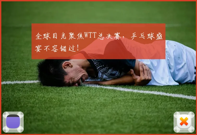全球目光聚焦WTT总决赛，乒乓球盛宴不容错过！