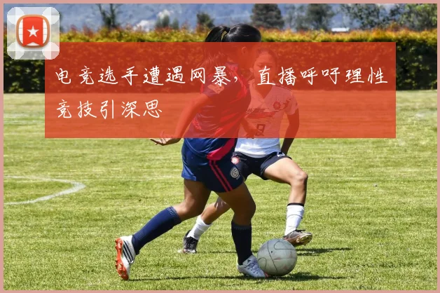 电竞选手遭遇网暴，直播呼吁理性竞技引深思
