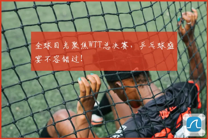 全球目光聚焦WTT总决赛，乒乓球盛宴不容错过！